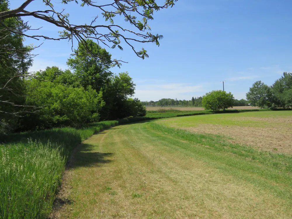 Elkton Road Owendale, MI 48754