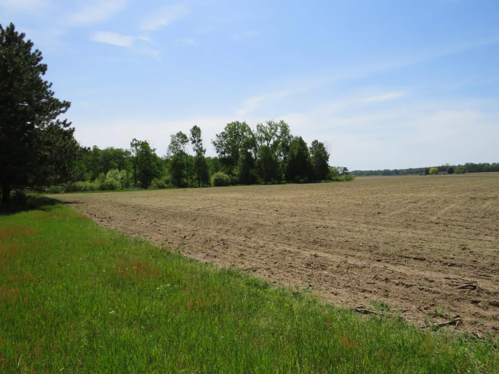 Elkton Road Owendale, MI 48754