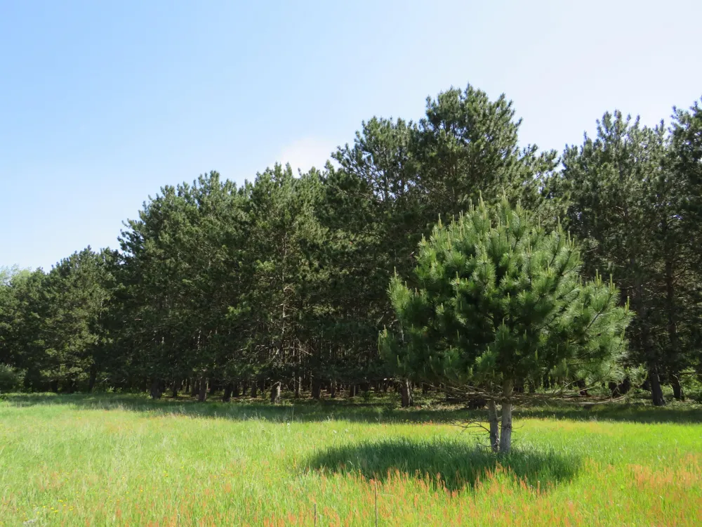 Elkton Road Owendale, MI 48754