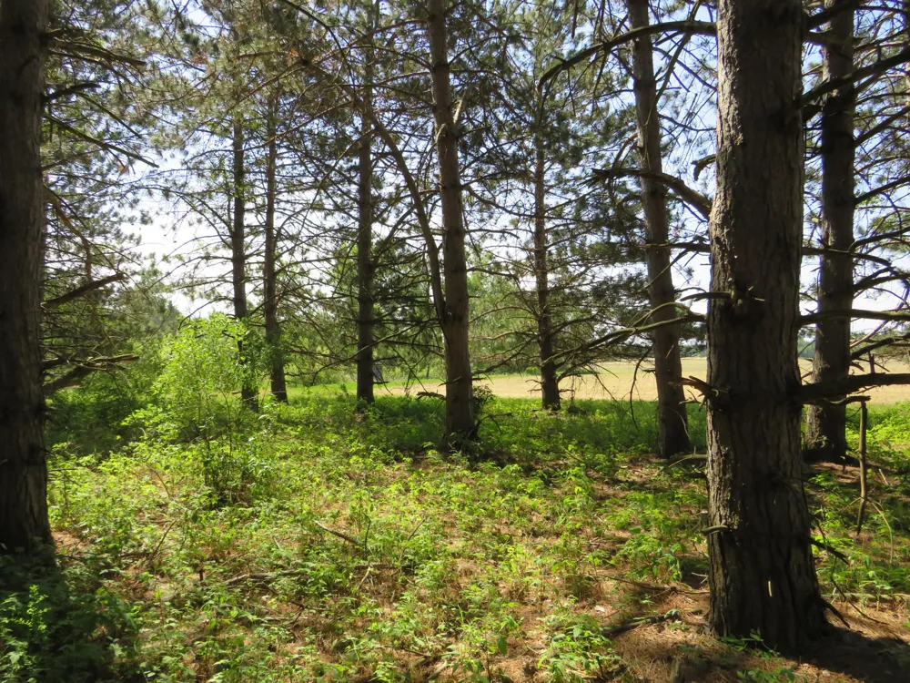 Elkton Road Owendale, MI 48754