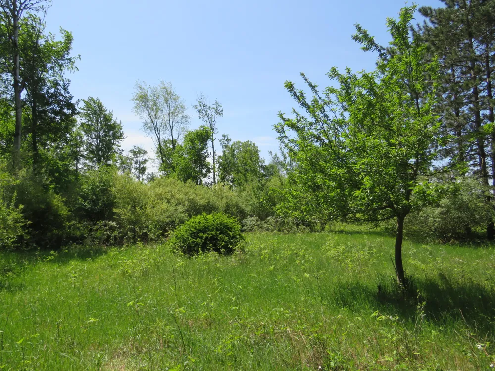 Elkton Road Owendale, MI 48754