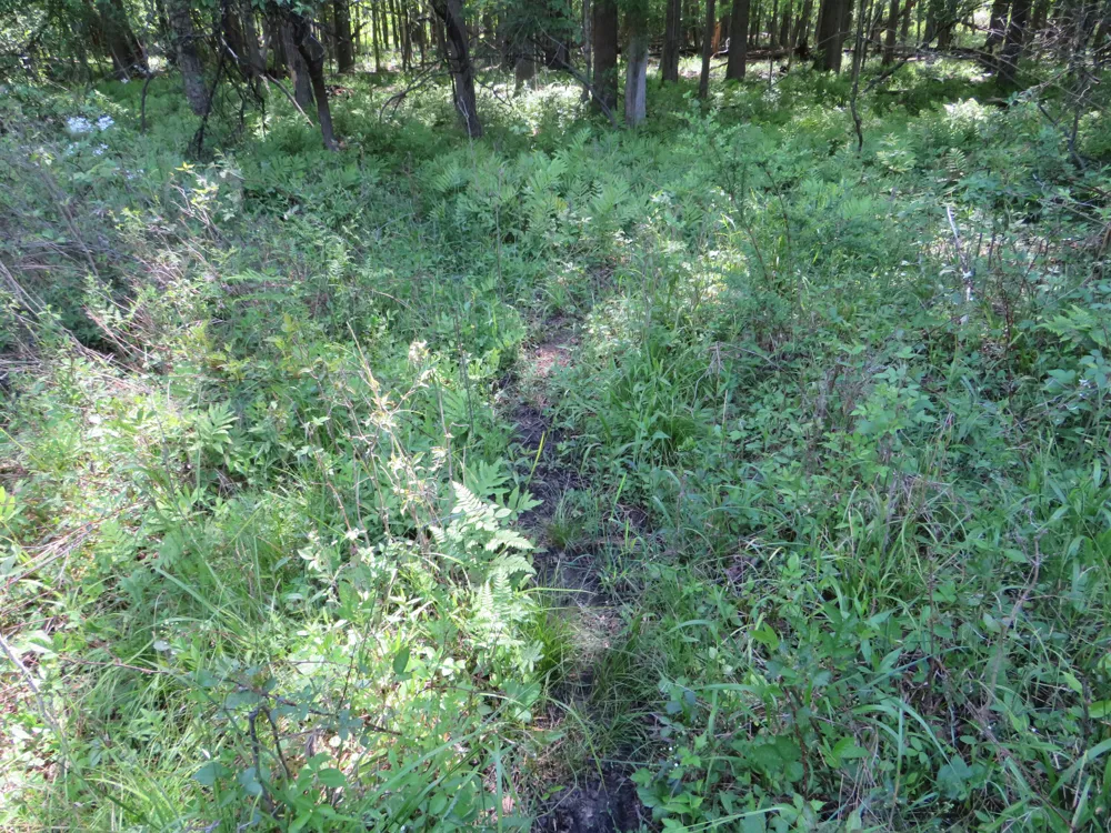Elkton Road Owendale, MI 48754
