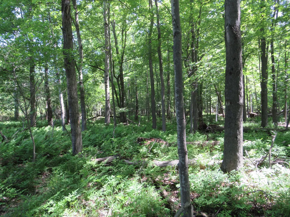 Elkton Road Owendale, MI 48754