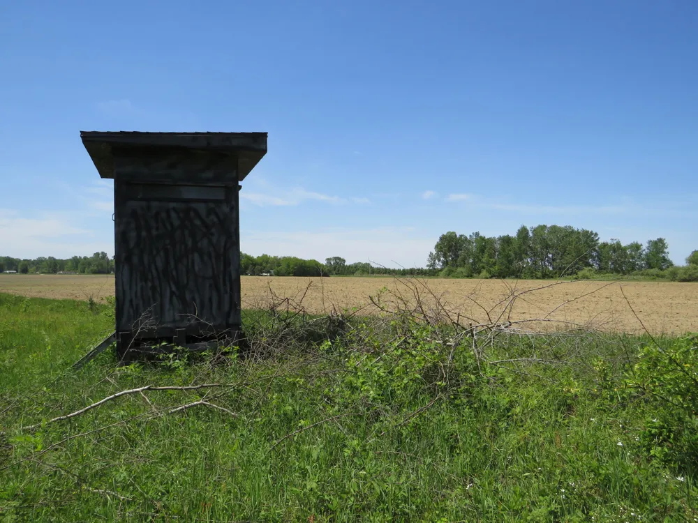 Elkton Road Owendale, MI 48754