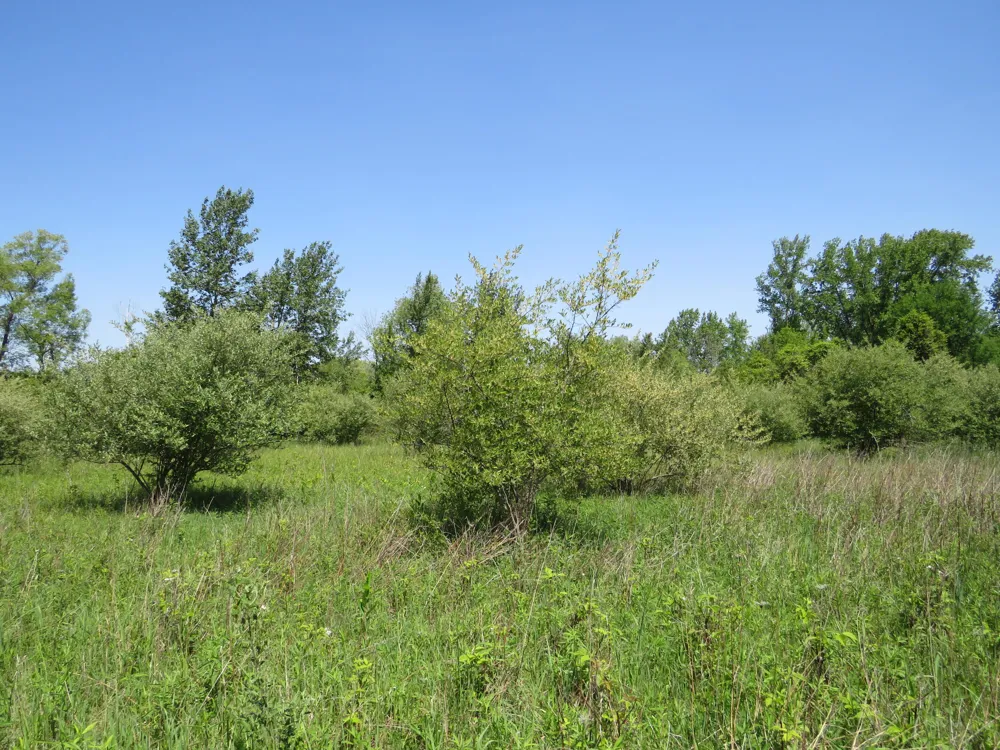 Elkton Road Owendale, MI 48754