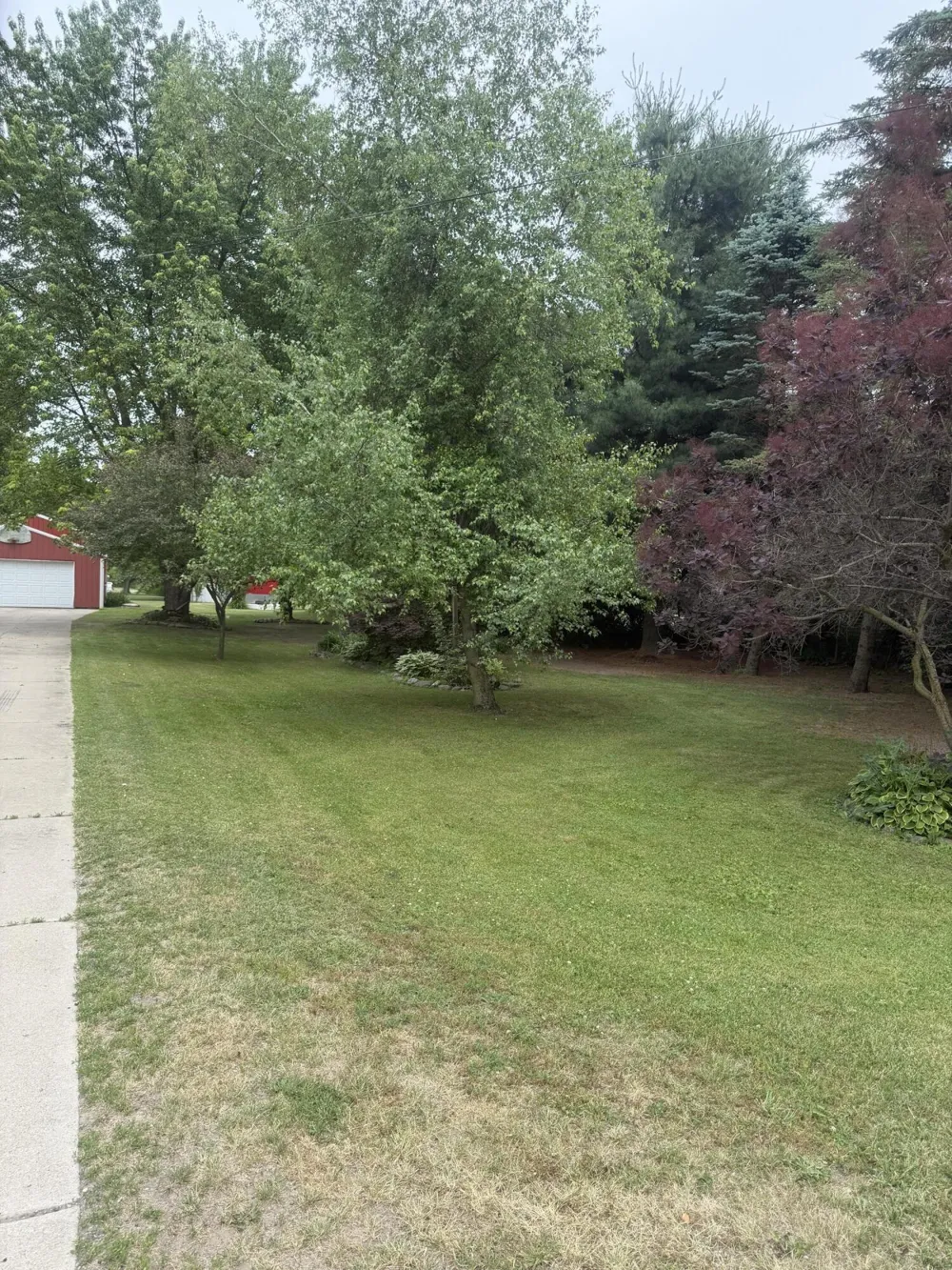 283 East Avenue Napoleon Township, MI 49261