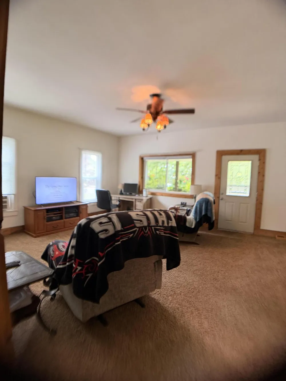 283 East Avenue Napoleon Township, MI 49261