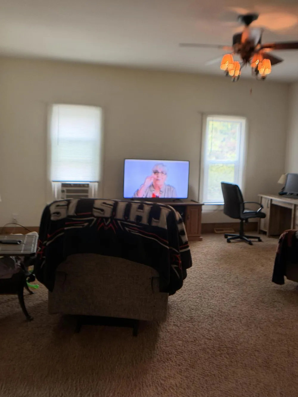 283 East Avenue Napoleon Township, MI 49261