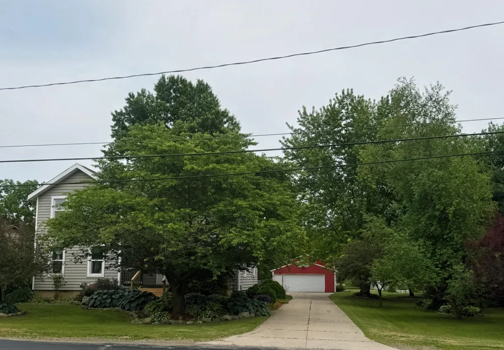 283 East Avenue Napoleon Township, MI 49261