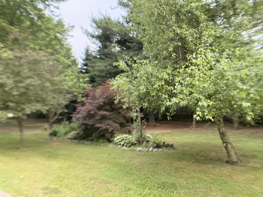 283 East Avenue Napoleon Township, MI 49261