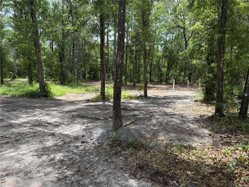 TBD Waldo, FL 32694