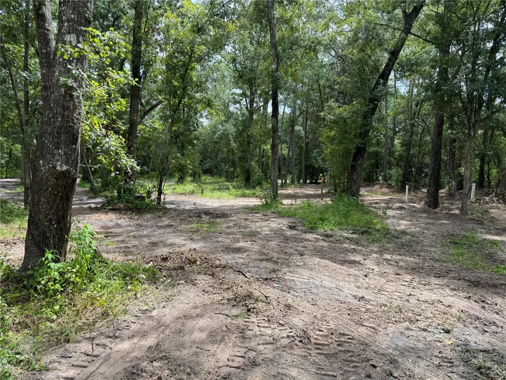 TBD Waldo, FL 32694