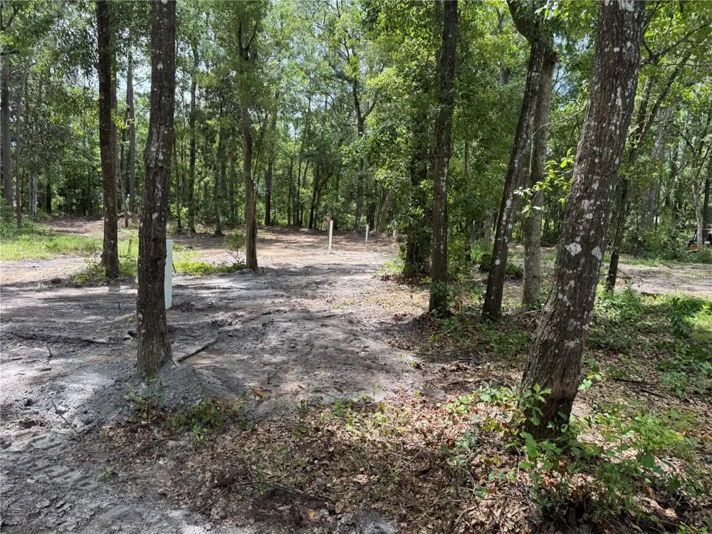 TBD Waldo, FL 32694