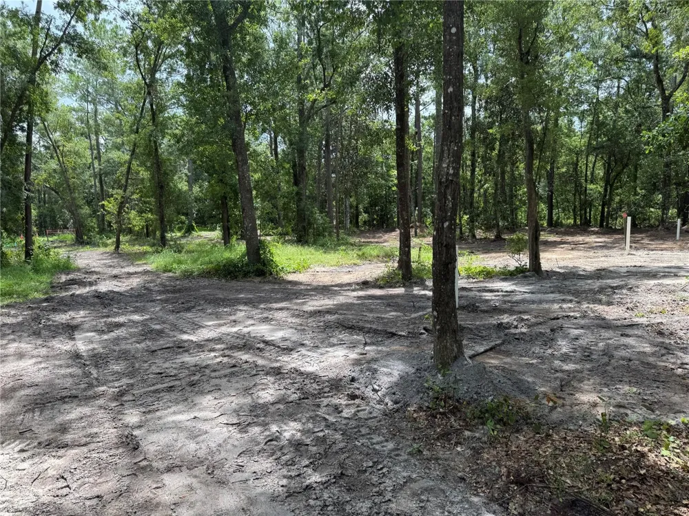 TBD Waldo, FL 32694