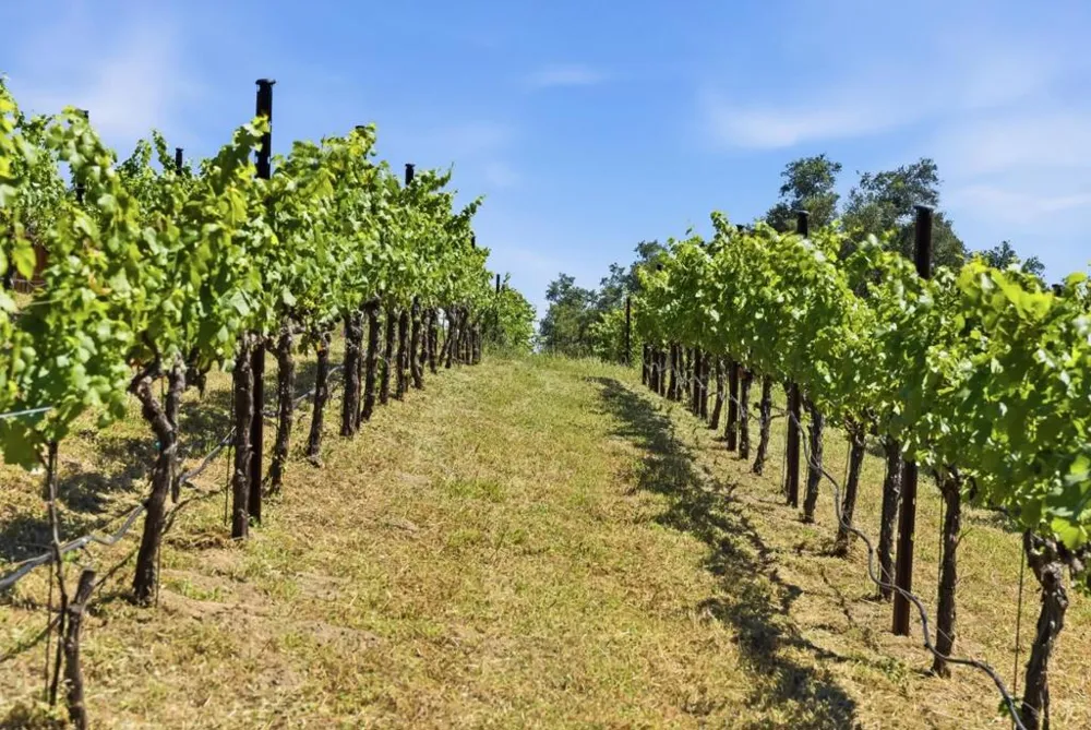 Miller Hill Road Los Gatos, CA 95033