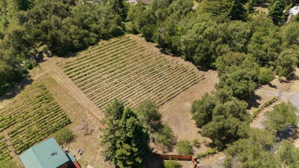 Miller Hill Road Los Gatos, CA 95033