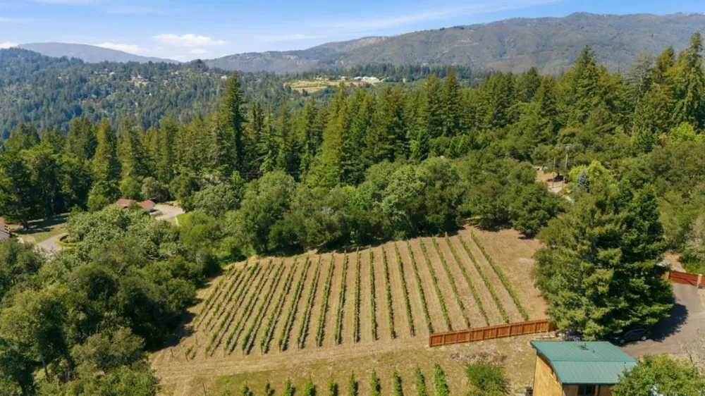 Miller Hill Road Los Gatos, CA 95033