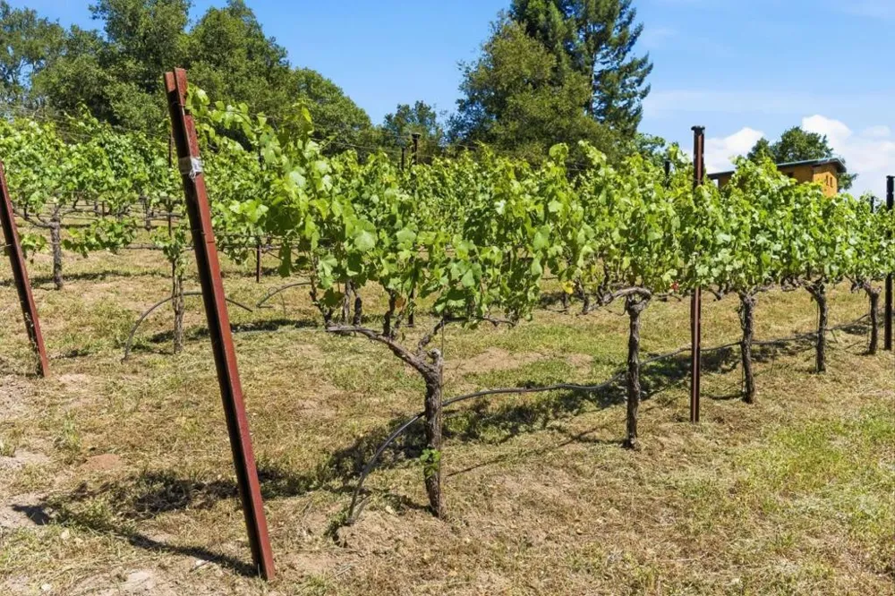 Miller Hill Road Los Gatos, CA 95033