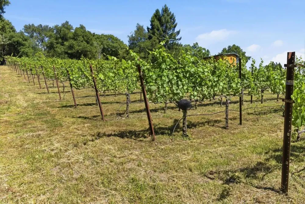 Miller Hill Road Los Gatos, CA 95033