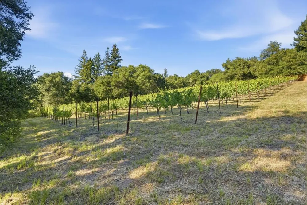 Miller Hill Road Los Gatos, CA 95033