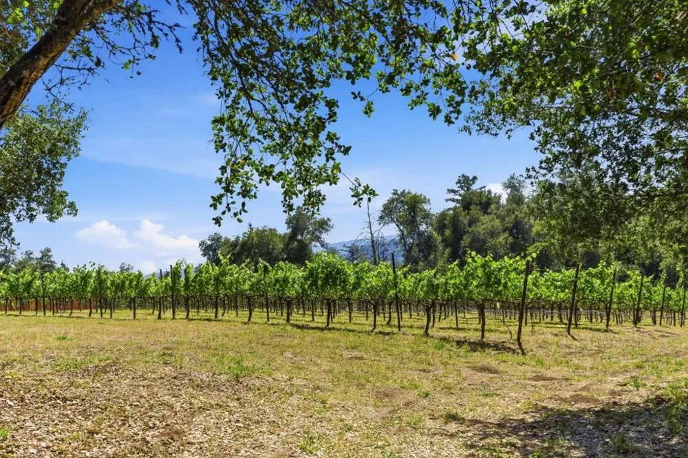 Miller Hill Road Los Gatos, CA 95033