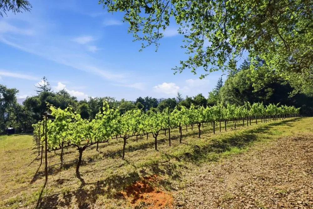 Miller Hill Road Los Gatos, CA 95033
