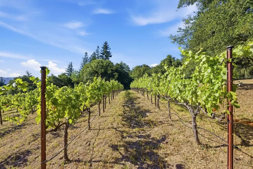 Miller Hill Road Los Gatos, CA 95033