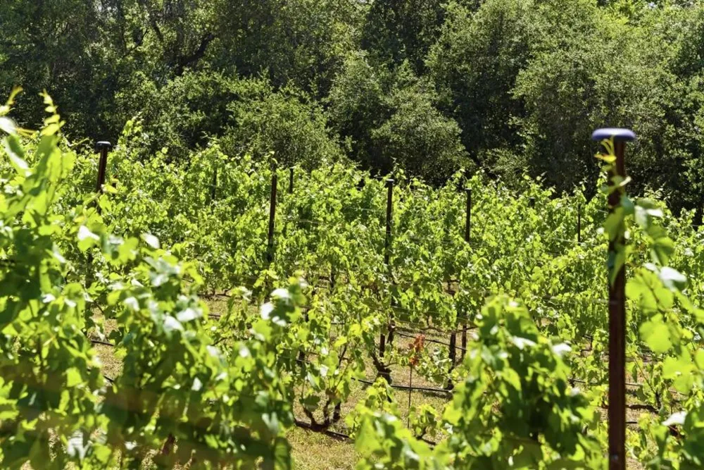 Miller Hill Road Los Gatos, CA 95033