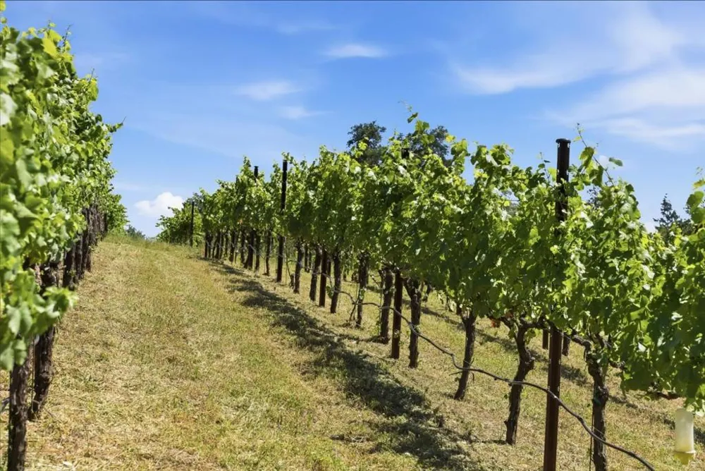 Miller Hill Road Los Gatos, CA 95033