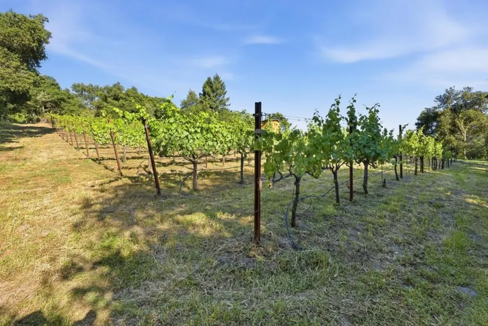 Miller Hill Road Los Gatos, CA 95033
