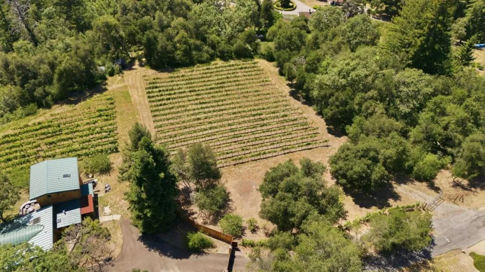 Miller Hill Road Los Gatos, CA 95033