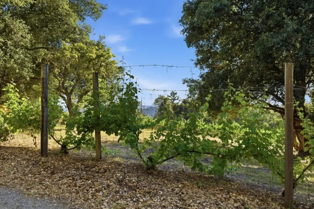 Miller Hill Road Los Gatos, CA 95033