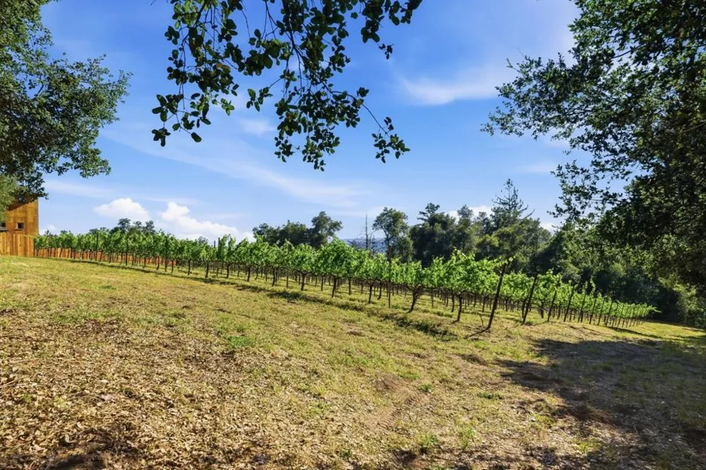 Miller Hill Road Los Gatos, CA 95033