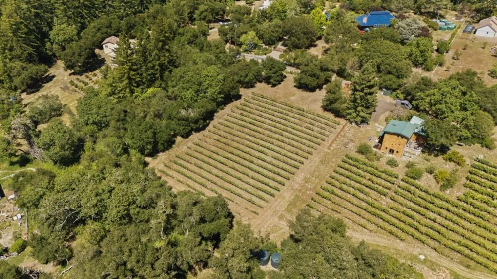 Miller Hill Road Los Gatos, CA 95033