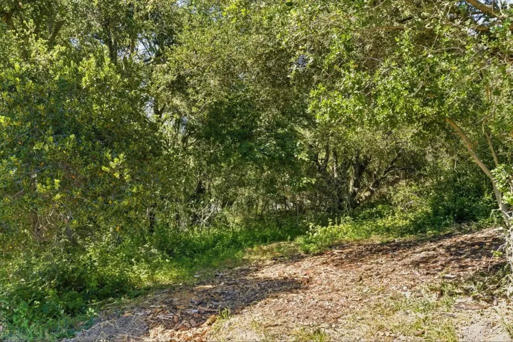 Miller Hill Road Los Gatos, CA 95033