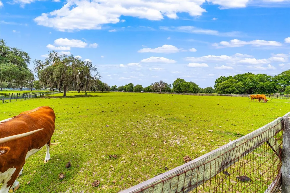 2285 W HIGHWAY 318 Citra, FL 32113