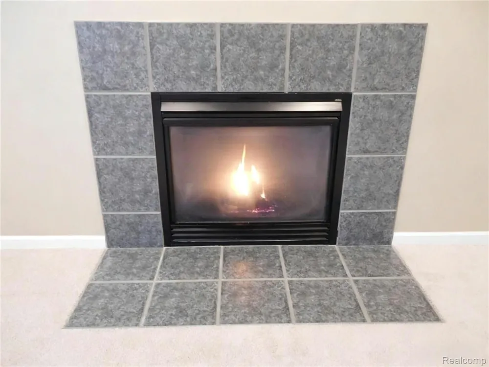 29377 Whistler Drive Novi City, MI 48377