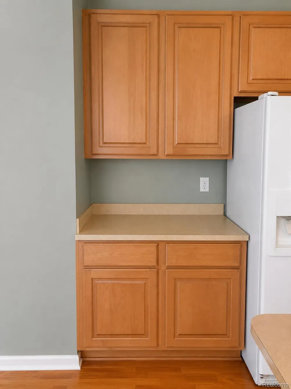 29377 Whistler Drive Novi City, MI 48377