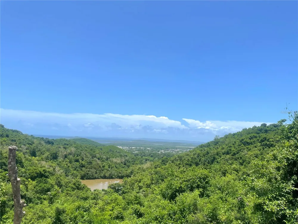 981 Ceiba, PR 00735
