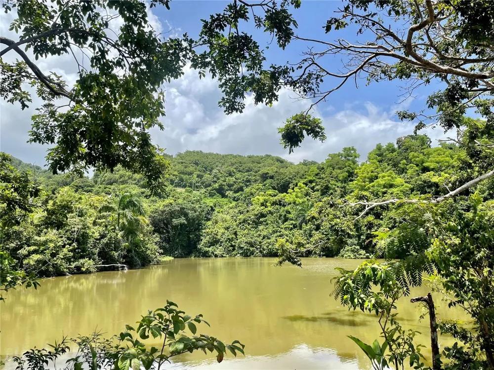 981 Ceiba, PR 00735