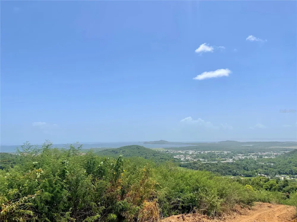 981 Ceiba, PR 00735