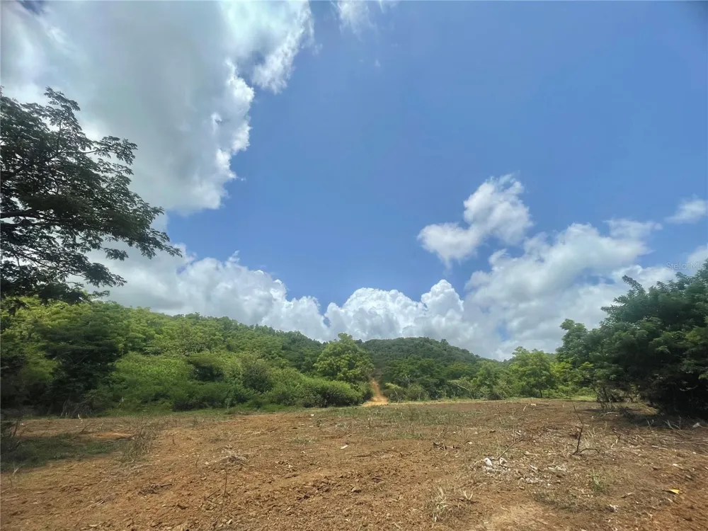 981 Ceiba, PR 00735