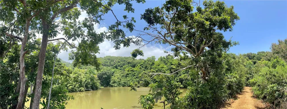 981 Ceiba, PR 00735
