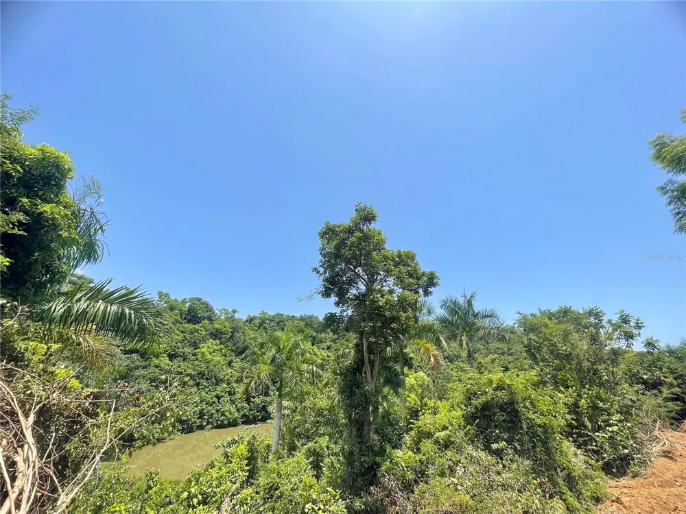 981 Ceiba, PR 00735