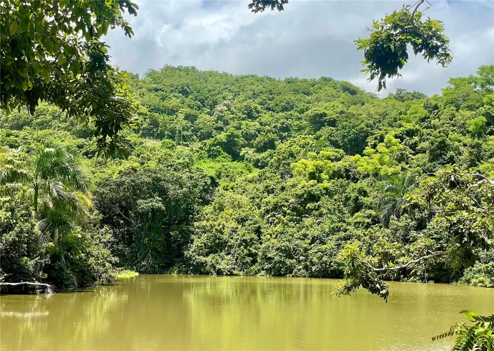 981 Ceiba, PR 00735