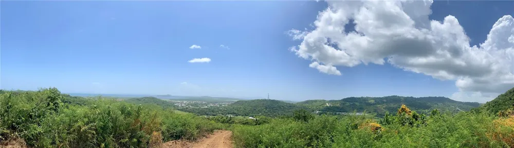 981 Ceiba, PR 00735