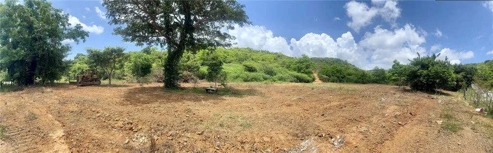 981 Ceiba, PR 00735