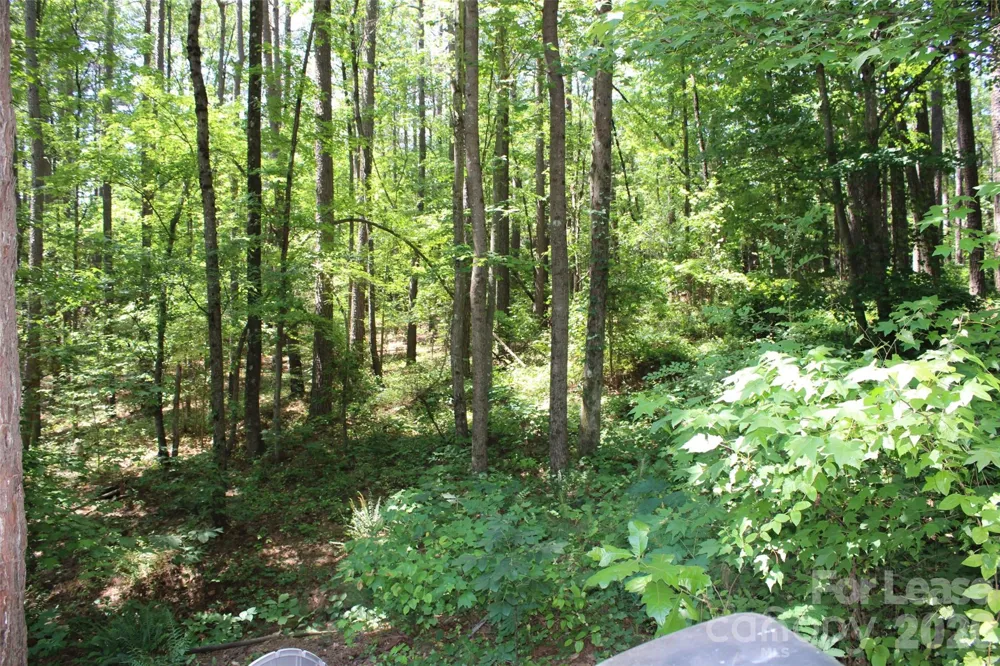 4181 Palm Drive Denver, NC 28037