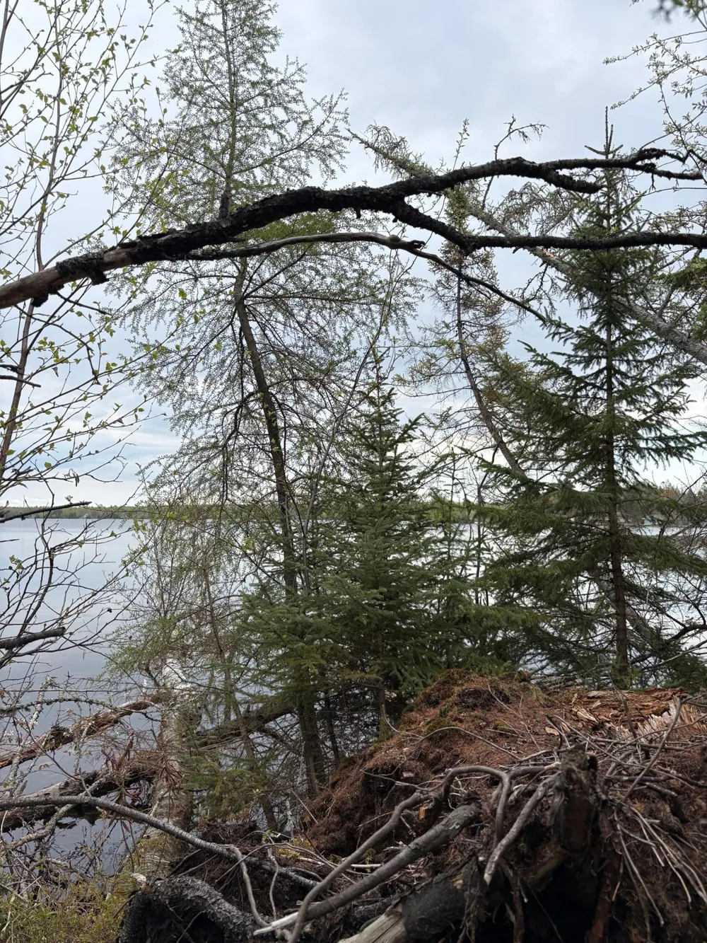 6919 Triple Lakes Road Saginaw, MN 55779