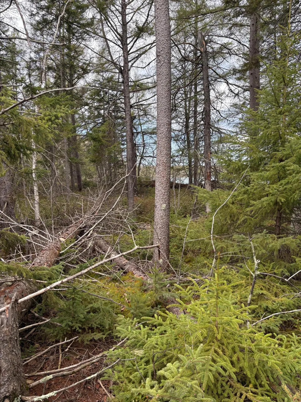 6919 Triple Lakes Road Saginaw, MN 55779